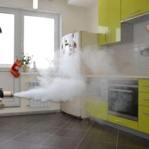 Дезинфекция от блох туманом